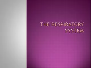 The Respiratory System