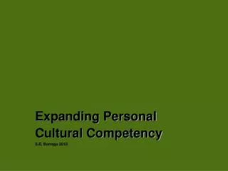 Expanding Personal Cultural Competency S.E. Borrego 2010