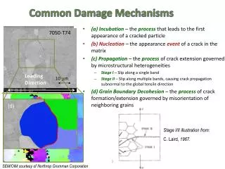 Common Damage Mechanisms