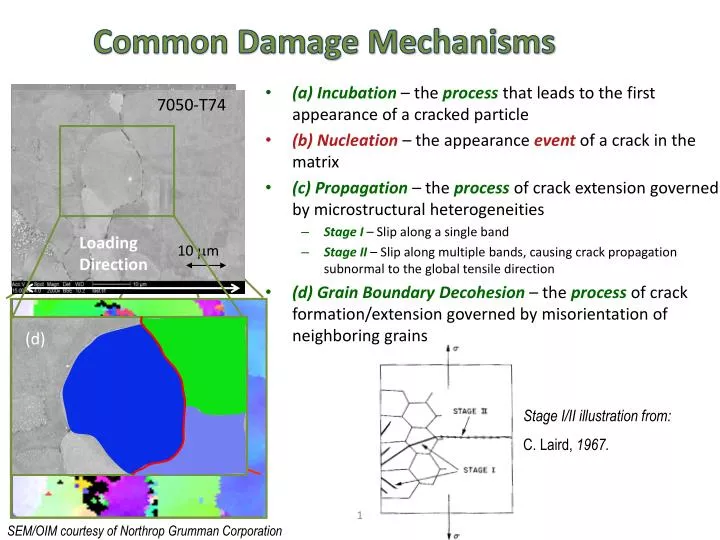 common damage mechanisms