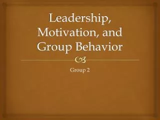 Leadership, Motivation, and Group Behavior