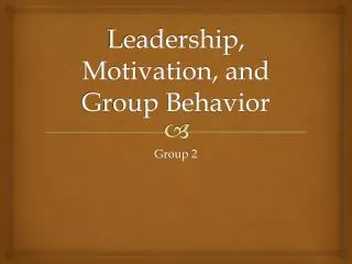 leadership motivation and group behavior