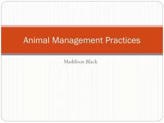 Animal Management Practices