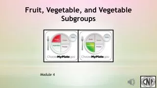 Fruit, Vegetable, and Vegetable Subgroups