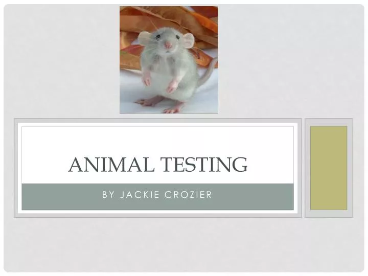 animal testing