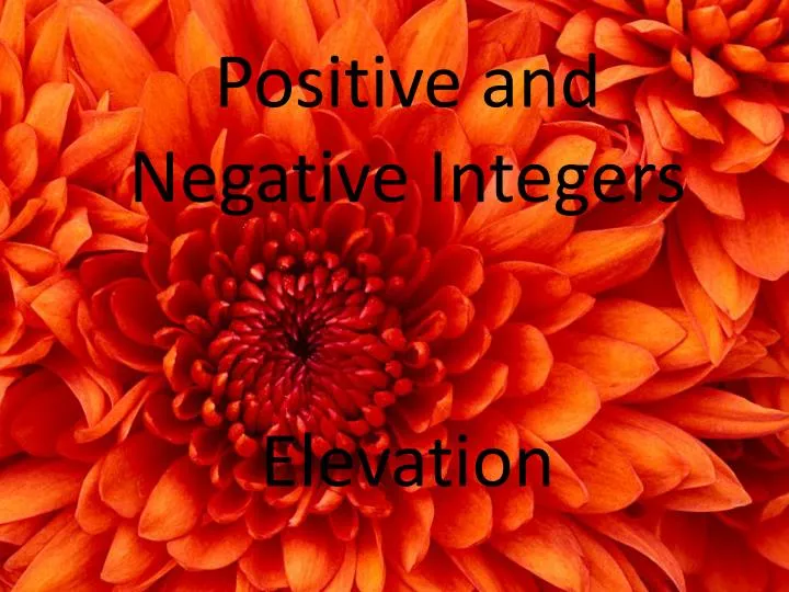 positive and negative integers elevation