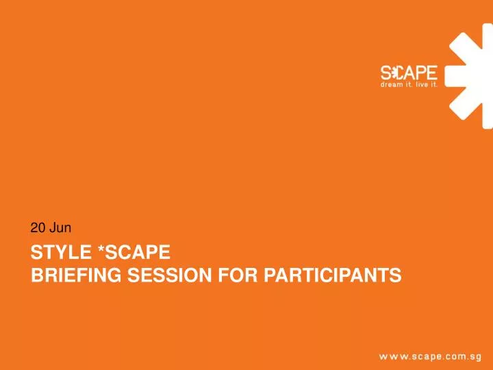 style scape briefing session for participants