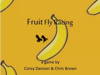 Fruit Fly Racing