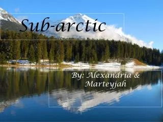 Sub-arctic
