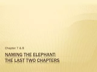 Naming the Elephant: The Last two chapters
