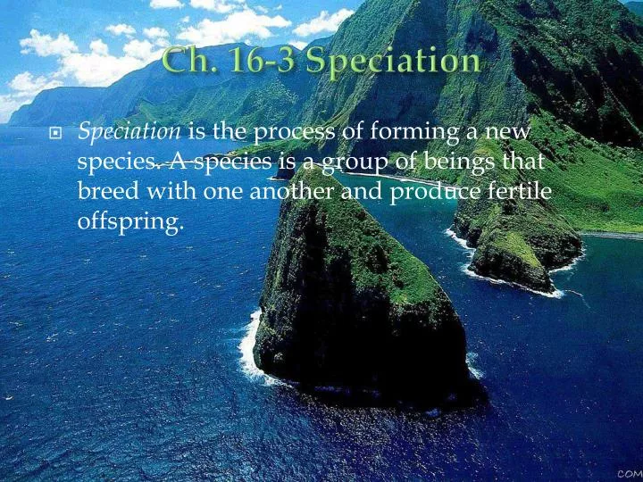 ch 16 3 speciation