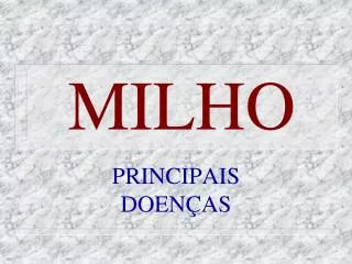 milho