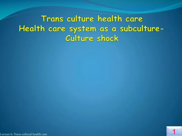 trans culture health care health care system as a subculture culture shock