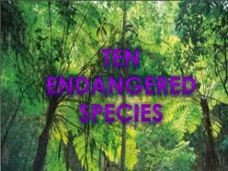 Ten Endangered Species