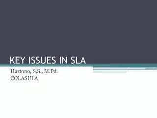 KEY ISSUES IN SLA