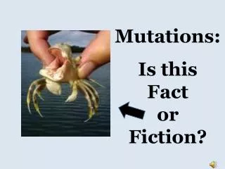 Mutations: