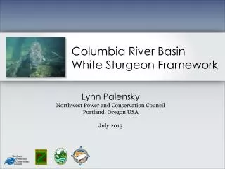 Columbia River Basin White Sturgeon Framework