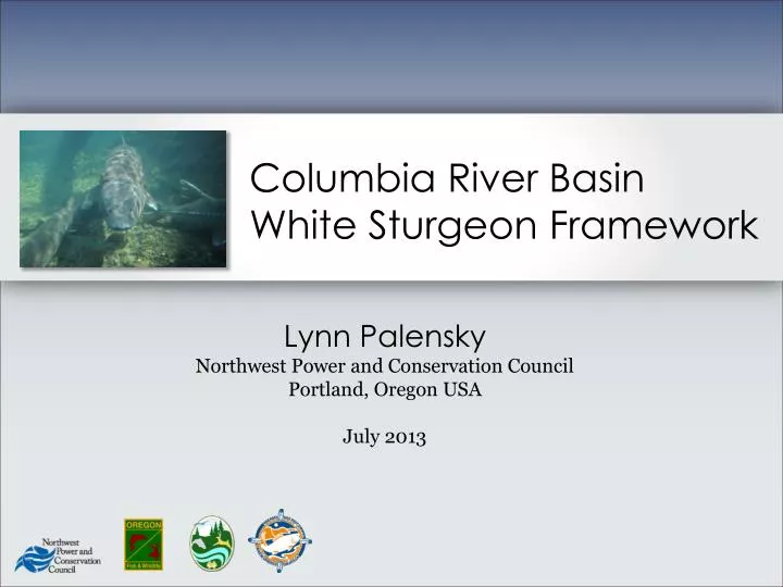columbia river basin white sturgeon framework