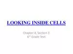 LOOKING INSIDE CELLS - slide 1