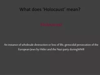 what does holocaust mean