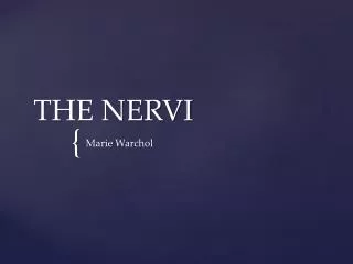 THE NERVI