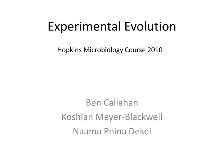 experimental evolution