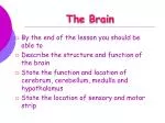 The Brain - slide 1
