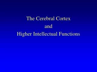 The Cerebral Cortex and Higher Intellectual Functions