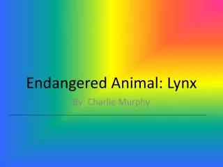 Endangered Animal: Lynx