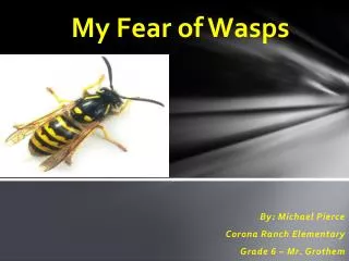 My Fear of Wasps