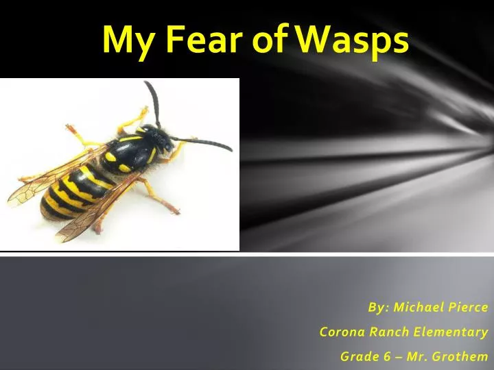 my fear of wasps
