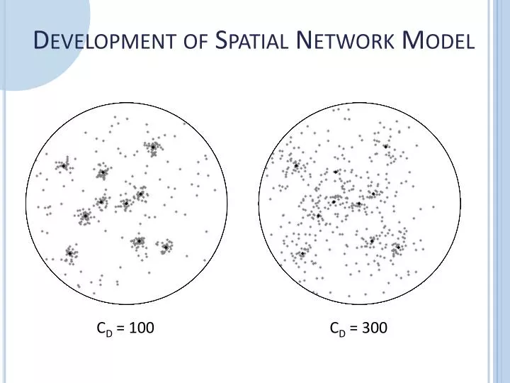 development of spatial network model