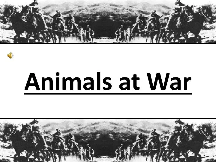 animals at war