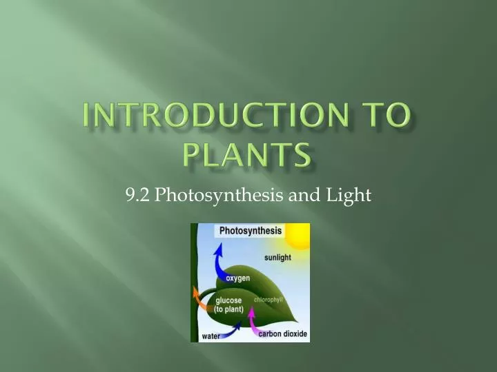 introduction to plants