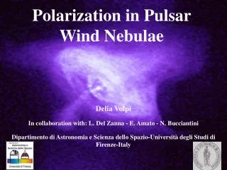 Polarization in Pulsar Wind Nebulae