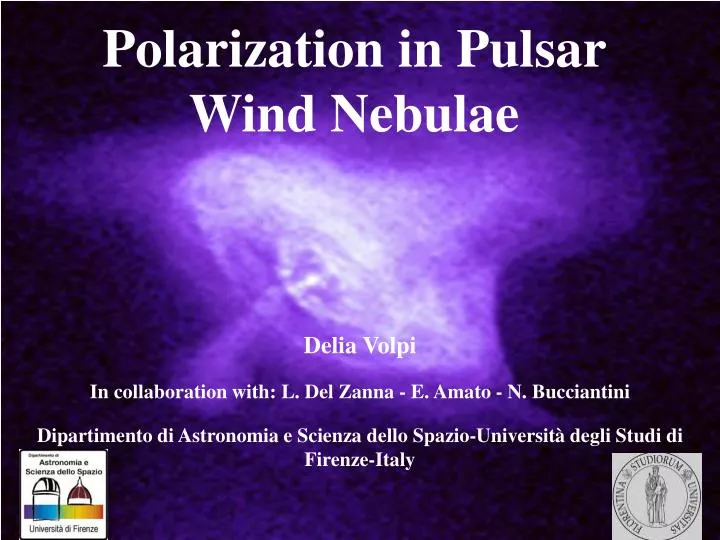 polarization in pulsar wind nebulae