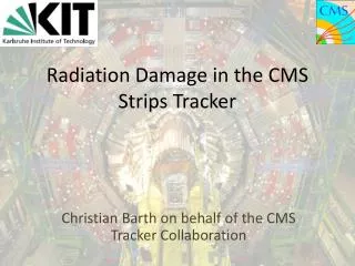 Radiation Damage in the CMS Strips Tracker