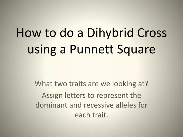 how to do a dihybrid cross using a punnett square