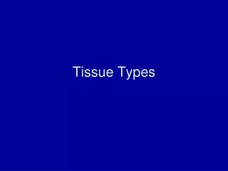 Tissue Types