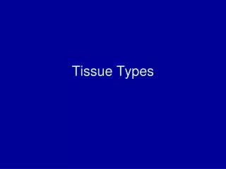 tissue types