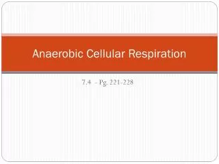 Anaerobic Cellular Respiration