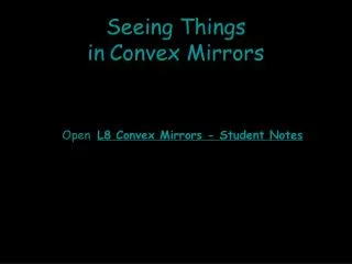 Seeing Things in Convex Mirrors
