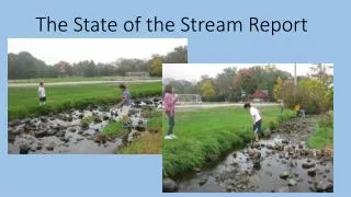 The State of the Stream Report