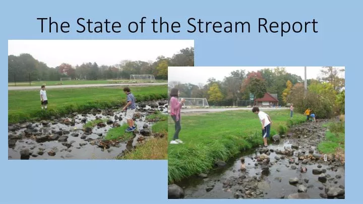 the state of the stream report