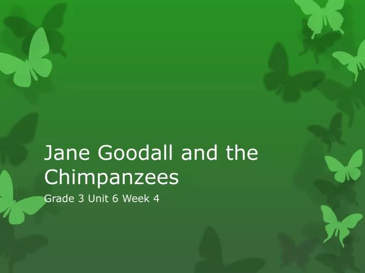 jane goodall and the chimpanzees