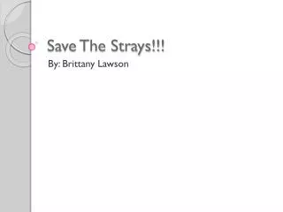 Save The Strays!!!