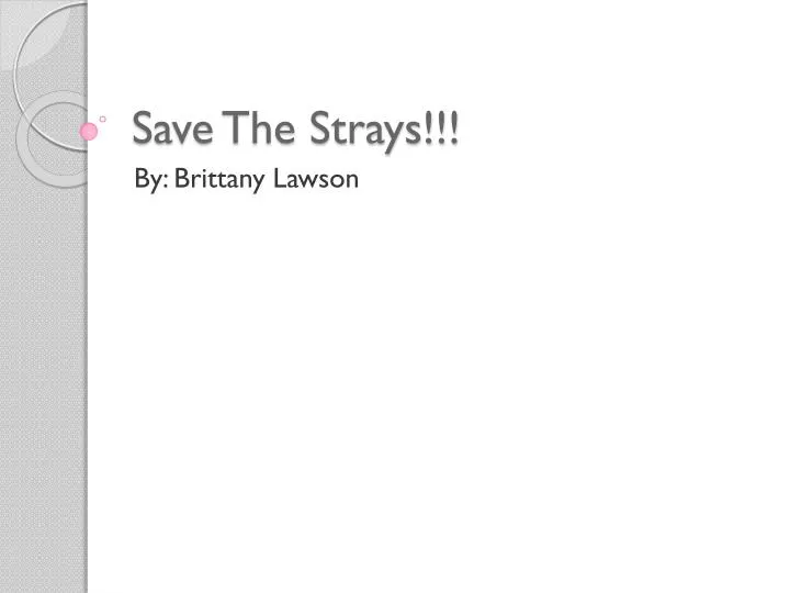 save the strays