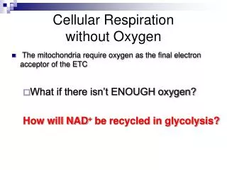Cellular Respiration without Oxygen