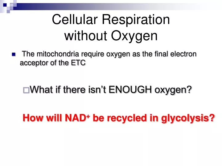 cellular respiration without oxygen