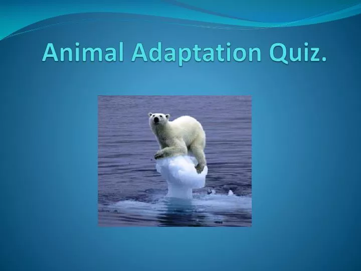 animal adaptation quiz